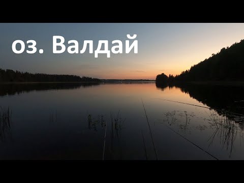 Видео: Красноперка на удочку. Озеро Валдай