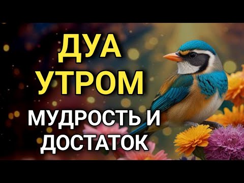 Видео: ☝️ МУДРОЕ ДУА ДЛЯ БЛАГОПОЛУЧИЯ! 🤲☀️🔑💯