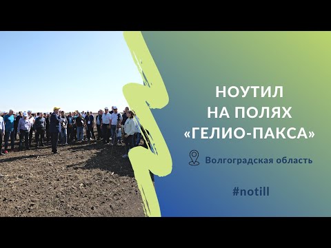 Видео: Поля ноутил в «Гелио-Паксе»: всходы пшеницы, уборка подсолнечника #notill