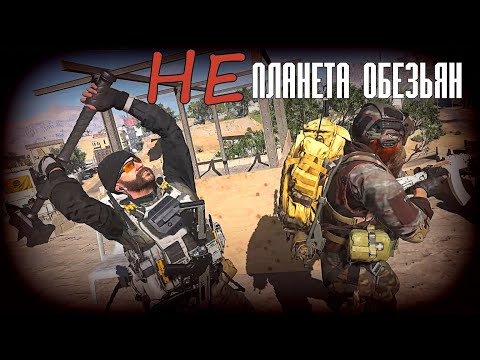 Видео: НЕ ПЛАНЕТА ОБЕЗЬЯН #dmz