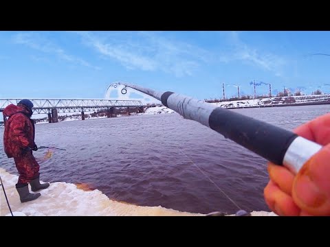 Видео: Зимний Речной Фидер .Январский Лещ. Рыбалка на Фидер.