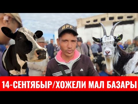 Видео: 14-СЕНТЯБЫР/ХОЖЕЛИ МАЛ БАЗАРЫ #ешкі #makanpro #xojeli 