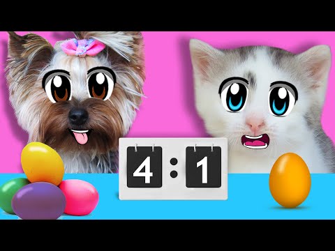 Видео: КТО ПЕРВЫЙ НАЙДЕТ БОЛЬШЕ ЯИЦ ПОЛУЧИТ 1000 ВКУСНЯШЕК ЧЕЛЛЕНДЖ ! КТО ПОБЕДИТ КОТ, КОШКА или СОБАКА?