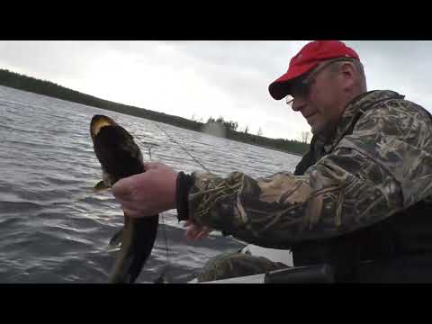 Видео: На рыбалке с Касатонычем! Ламбушка в Карелии!