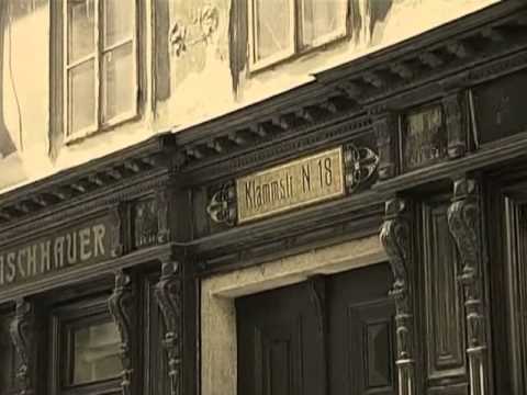 Видео: адольф и его команда