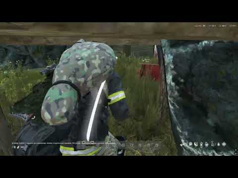 Видео: Дейз