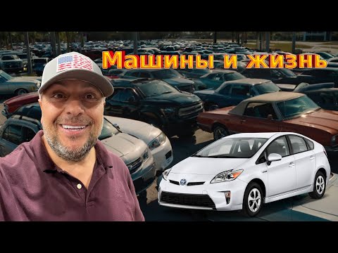 Видео: Можно заработать на Спринтере/ Финский блин/ Про лицензию и налоги. 15/25