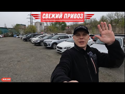 Видео: СВЕЖИЙ ПРИВОЗ❗️ОЧЕНЬ НИЗКИЕ ЦЕНЫ❗️АВТО ПОД ЗАКАЗ ИЗ ЯПОНИИ❗️