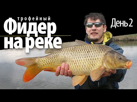 Видео: Фидерная рыбалка на реке / день 2 / ловля карпа 2021