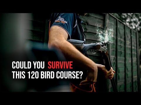 Видео: Классика Коли