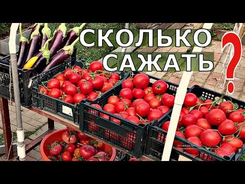 Видео: СКОЛЬКО САЖАТЬ ОВОЩЕЙ НА СЕМЬЮ ИЗ 6 ЧЕЛОВЕК