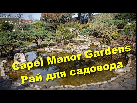 Видео: 104. Сады Capel Manor - центр садоводства и ландшафтного дизайна.