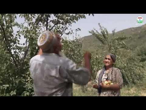 Видео: Ҳаёту рӯзгори сокинони ноҳияи Ховалинг дар фасли тобистон чӣ гуна сипарӣ мешавад?