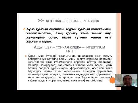 Видео: Ас қорыту аппараты құрам бөліктері