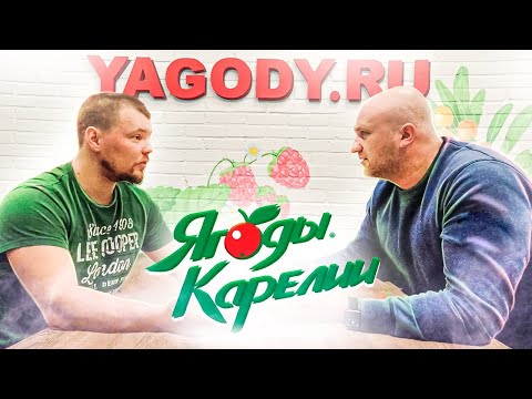 Видео: Сбор ягод в Карелии - Ответы на часто задаваемые вопросы по программе сбора ягод. SBOR.YAGODY.RU