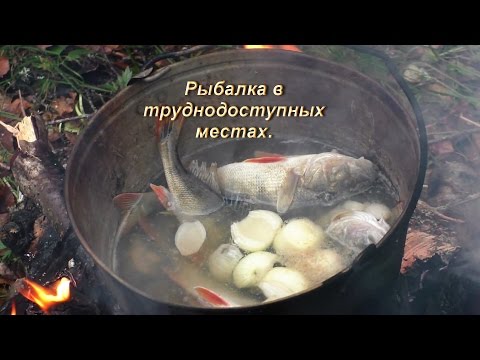 Видео: Рыбалка в труднодоступных местах. Республика Коми.
