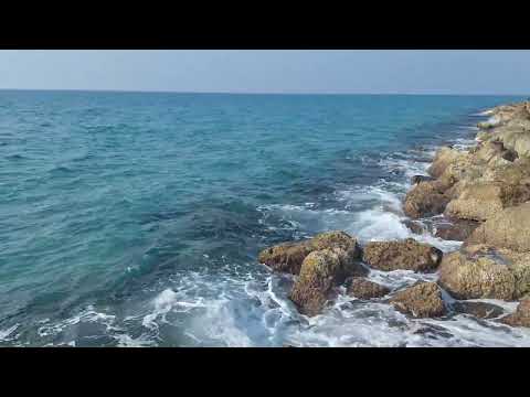 Видео: 6 ноября 2025 г.