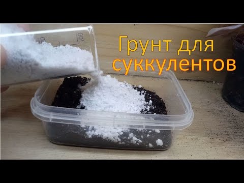 Видео: грунт для суккулентов