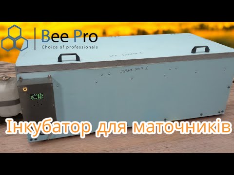Видео: Інкубатор для маточників