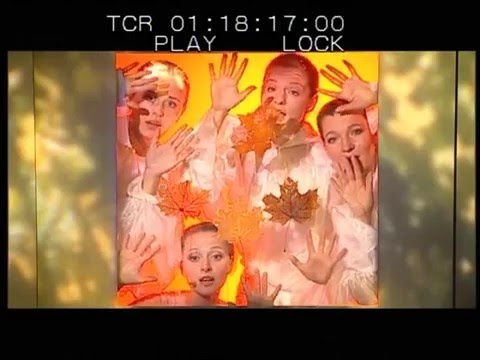 Видео: Времена... Года