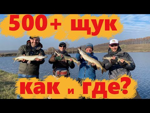 Видео: 500+ щук. Мечта каждого рыбака. с. Горбатовка. Часть 2