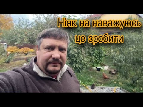 Видео: ХТО ПОКАЛІЧИВ НАШИХ КРОЛЕНЯ? ПРОГУЛЯНКА ТА ОГЛЯД КАЧОК