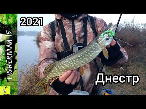 Видео: Ловля хищника на реке Днестр Маяки. Щука/Окунь/Судак. Встретили браконьеров.