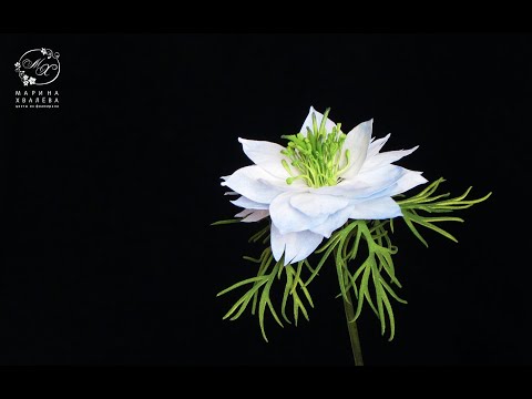 Видео: Мастер-класс "Нигелла из фоамирана". Часть 2.