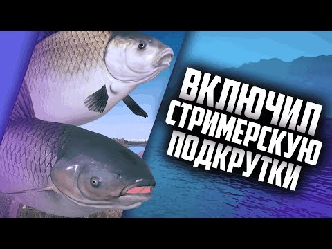 Видео: СТРИМЕРУ ОПЯТЬ ПОДКРУТИЛИ 🔵 #русскаярыбалка4 #рр4 #marolinik