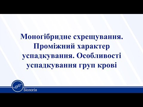 Видео: Моногібридне схрещування. Проміжний характер успадкування. Біологія 11 клас