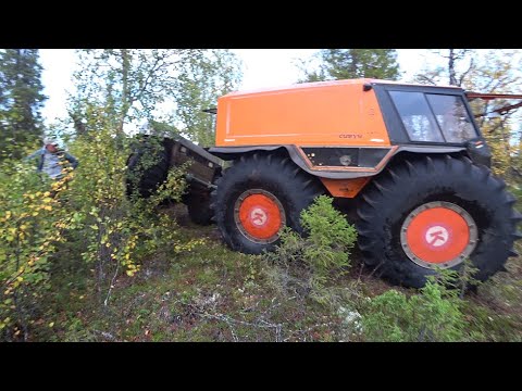 Видео: Эвакуация или Чарлик сдох..