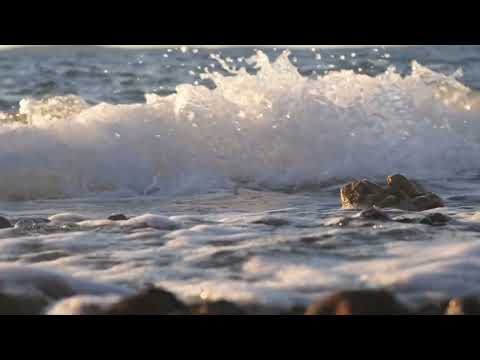 Видео: Релакс. Берег, закат и шепот волн #RelaxingMusic  #CalmAndCozy #StressRelief #Relax #MeditationMusic