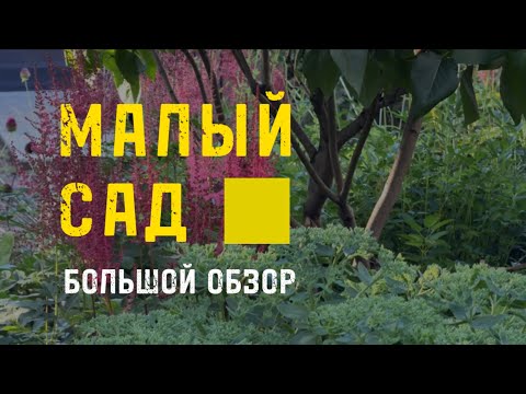 Видео: Как сделать малый сад стильно? Непрерывное цветение и заполняющие цветники  #красивыйсад #дача #сад