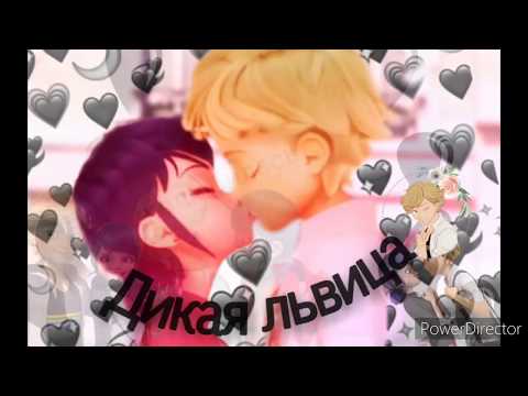 Видео: 💖Леди баг и супер кот, клип /Дикая львица 💖