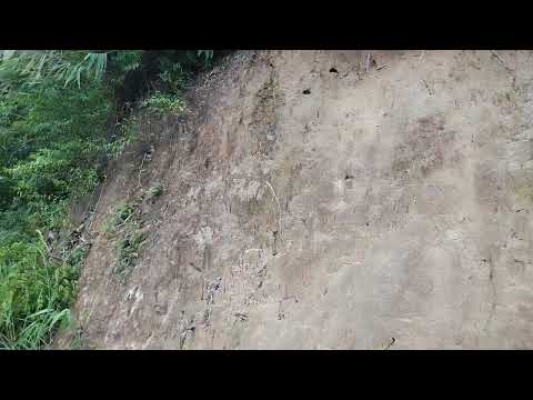 Видео: Патонг 002 07-11-2025