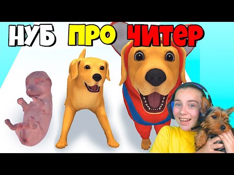 Видео: ЭВОЛЮЦИЯ СОБАЧЬЕЙ ЖИЗНИ, МАКСИМАЛЬНЫЙ УРОВЕНЬ Dog Life Simulator