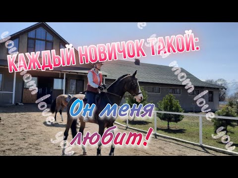 Видео: Каждый новичок такой|Конный скетч| EQUESTRIAN AKHAL TEKE