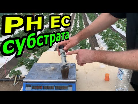 Видео: Как измерить PH субстрата