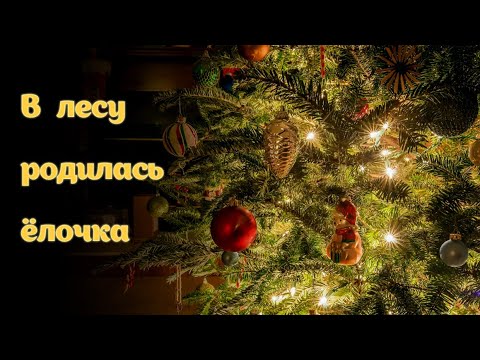 Видео: В лесу родилась ёлочка (Ар.А.Виницкий) Исп. Илья Мыслицкий