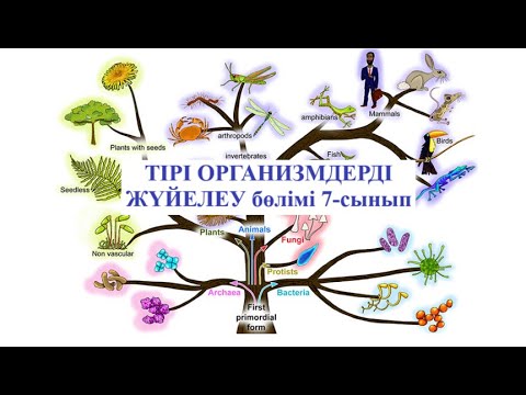 Видео: 7 сынып Өсімдіктер мен жануарларды анықтауда дихотомиялық анықтамалықтарды қолдану