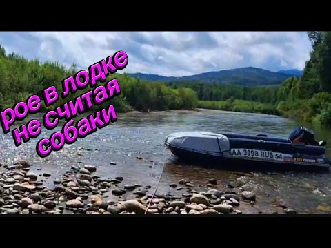 Видео: Трое в лодке не считая собаки. 