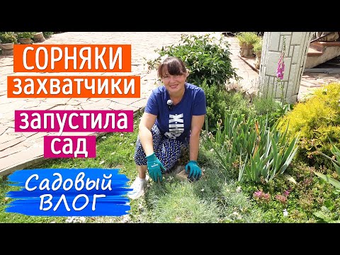 Видео: ЗАПУСТИЛА САД! Обратная сторона садоводства, которую никто не показывает!