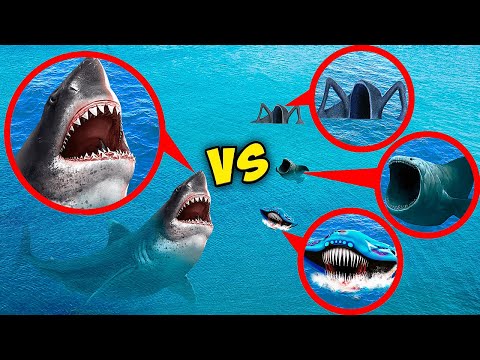Видео: мой дрон снял МЕГАЛАДОН vs ПОЖИРАТЕЛЯ МОРЕЙ, ЭЛЬ-ГРАН-МАЙЮ И БЛУПА в Реальной Жизни!