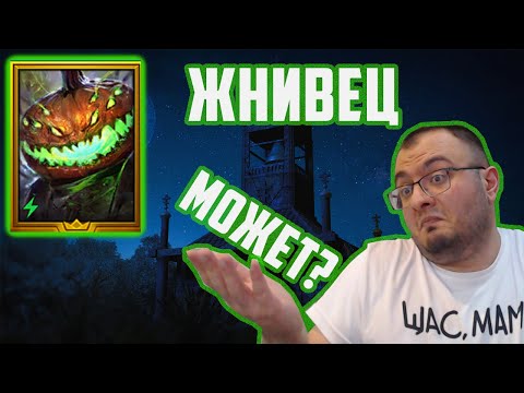 Видео: Жнивец | Новичок | Забытая имба или так себе? | Raid SL