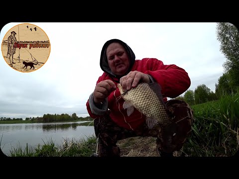 Видео: ВОТ ЭТО ЛАПТИ КАРАСИ ПРИШЛИ,РЫБАЛКА НА ДОНКУ КРОКОДИЛ,fishing,bushcraft,nature