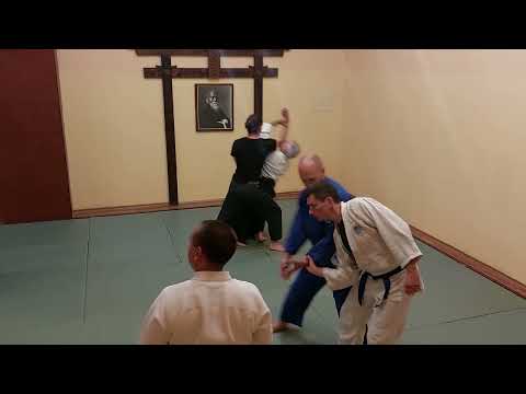 Видео: Тренировка по айкидо
