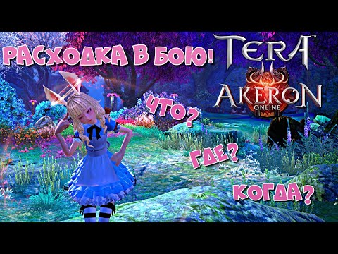 Видео: TERA Online/Akeron  - что нужно иметь с собой в бою? | гайд-обзор
