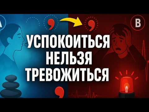 Видео: Как справиться с тревогой: Монтень и как жить спокойно без иллюзии контроля
