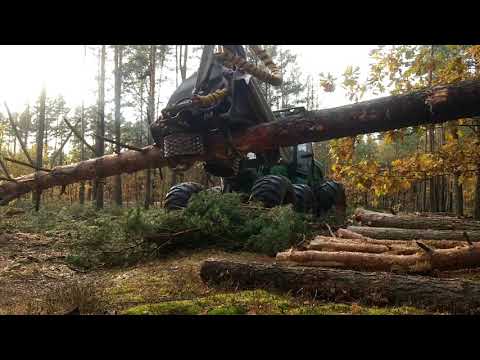 Видео: Амкодор 2551  даём лесхозу кубы!