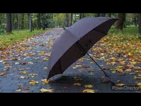 Видео: Федор Добронравов - осень